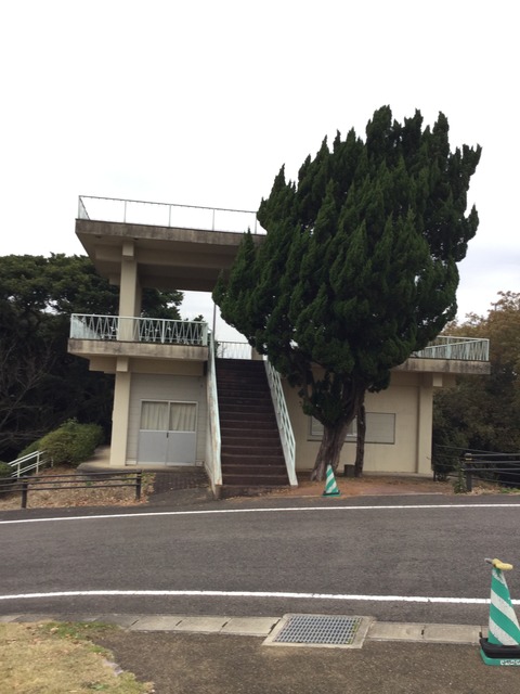 写真 2015-12-20 15 42 06