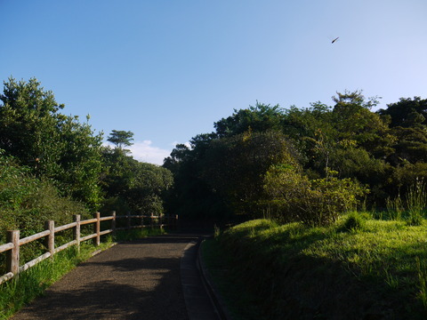 P1030816