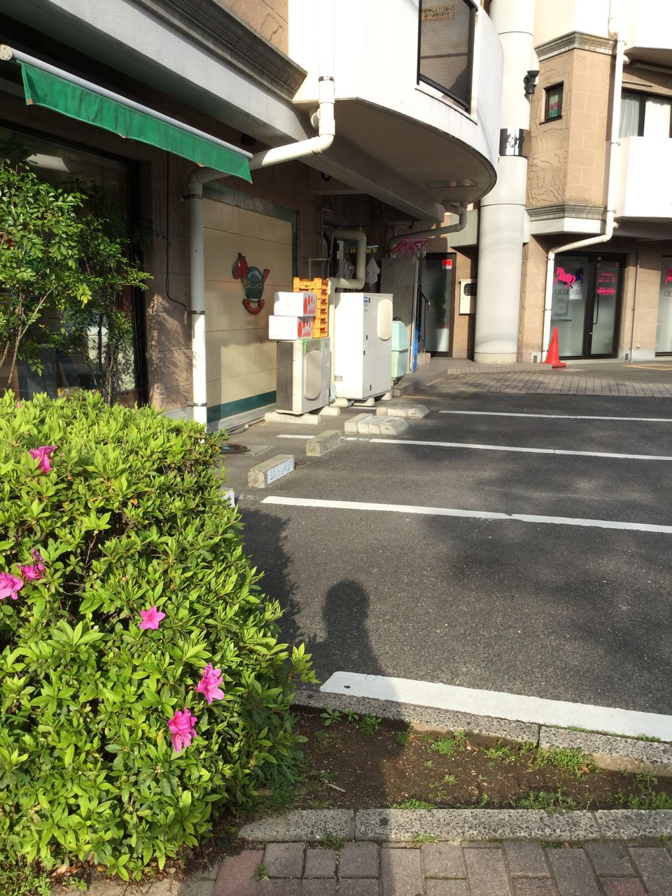 佐世保市名切町の洋菓子店 ジェニュイン させぼナビ 飲食部