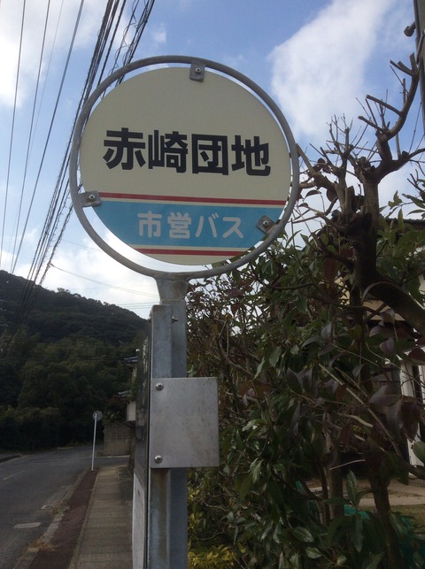 写真 2016-01-10 11 26 49