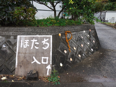 P1060239