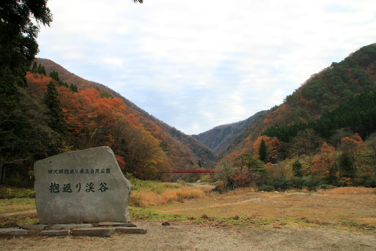 抱返り渓谷 紅葉は最終盤です アキモト酒店 走る大地 踊る農業 歌う酒 秋田県 抱返り渓谷 紅葉は最終盤です アキモト酒店 走る大地 踊る農業 歌う酒 秋田県