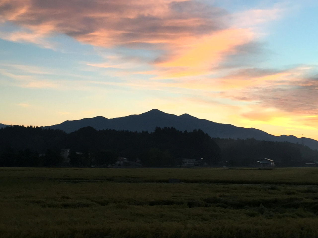 天然秋田杉の林を超えて太平山へ アキモト酒店 走る大地 踊る農業 歌う酒 秋田県 天然秋田杉の林を超えて太平山へ アキモト酒店 走る大地 踊る農業 歌う酒 秋田県