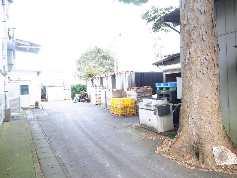 kiritsukubaR0051369