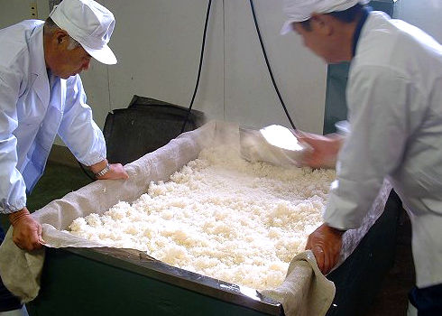 brewing_photo_05
