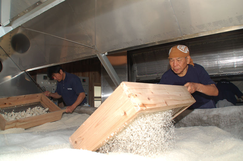SP3京屋酒造米麹造りDSC_6480