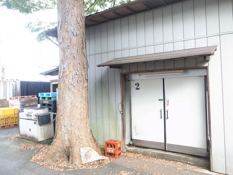 kiritsukubaR0051368