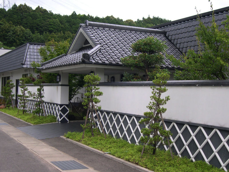 SP6宗政蔵画像02