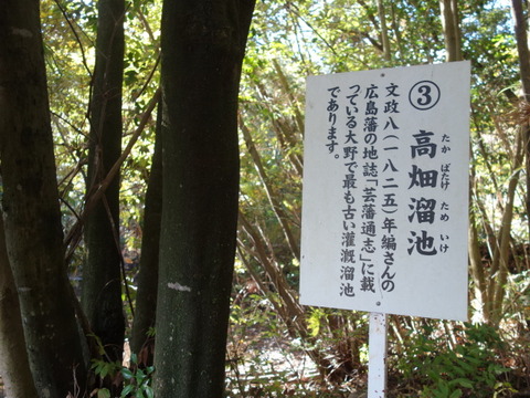 DSC05461