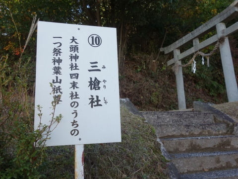 DSC05490