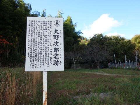 DSC05483