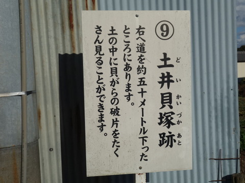 DSC05485