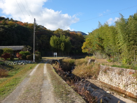 DSC05494