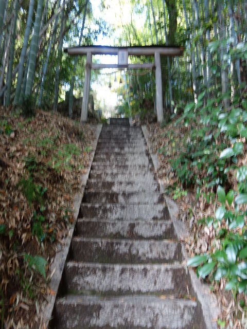 DSC05481