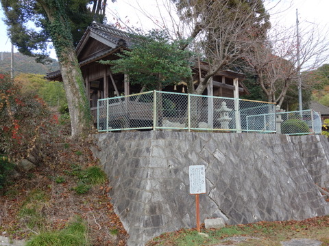 DSC05506