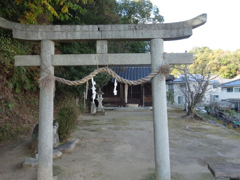 DSC05491