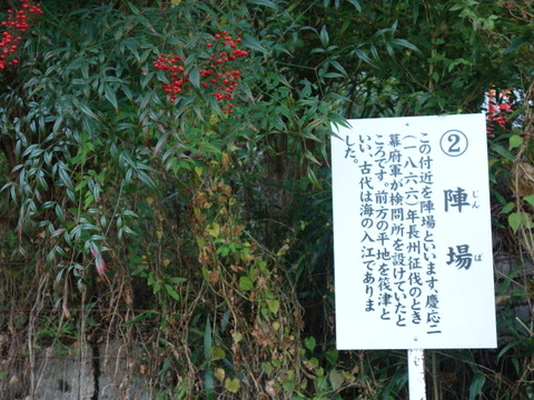 DSC05458