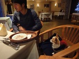 ぼくのもあるわん