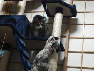20141108_235501.jpg