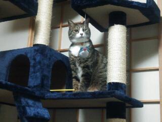 20140827_001752.jpg