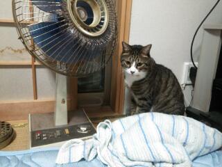 20141018_003051.jpg