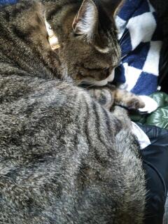 20140425_234200.jpg
