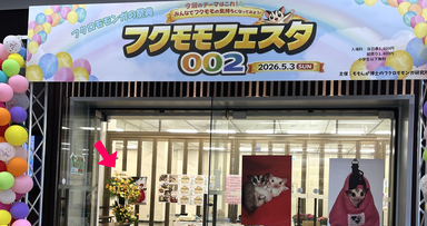 フクモモフェスタ
