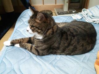 20141019_000557.jpg