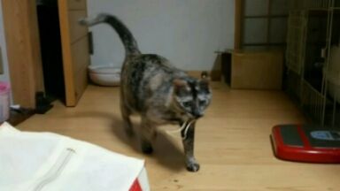 20160307_011647
