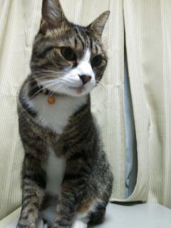 20131126_225538.jpg