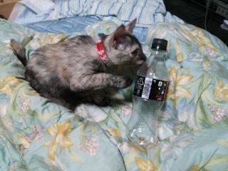 20141103_004353.jpg