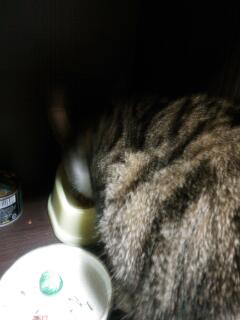 20140125_224405.jpg