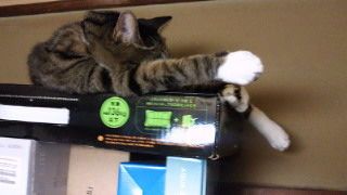 201305112259000.jpg