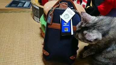 ボディバッグ グラブレザーコレクション