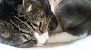 201301252322002.jpg
