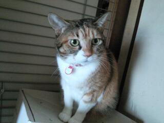20141027_003815.jpg