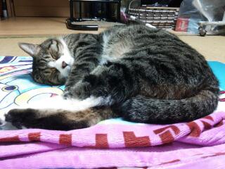 20140924_025854.jpg
