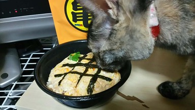 ドラゴンレーダー風親子丼