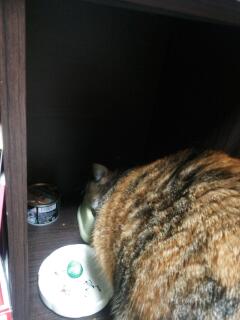 20140125_224419.jpg
