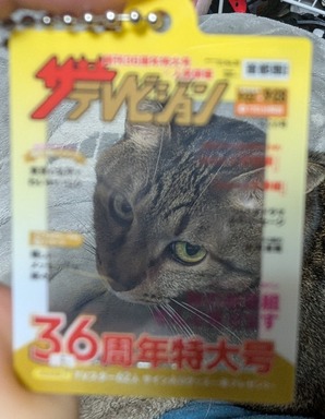 ネコ