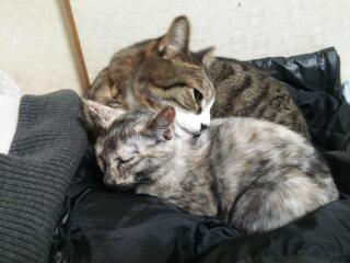 20141204_235404.jpg