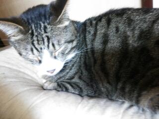 20140330_233546.jpg