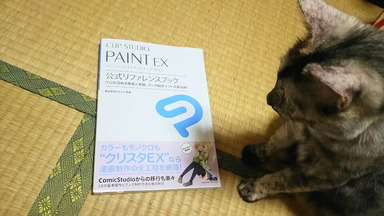 PAINT EX