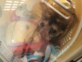 20150223_011729.jpg
