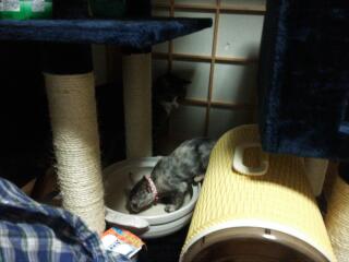 20141018_003146.jpg