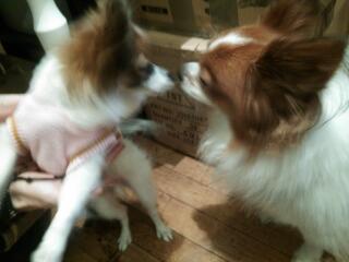 20131126_221840.jpg