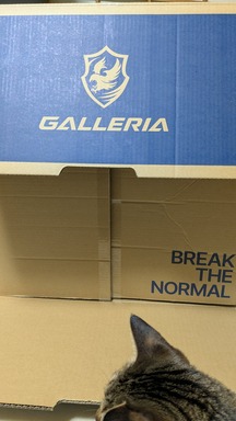 GALLERIA