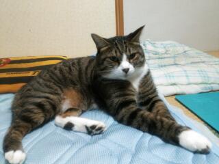 20140902_231444.jpg