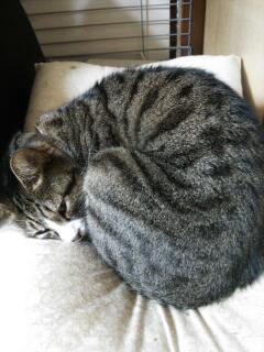 20140216_222310.jpg