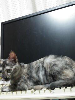 20141108_235426.jpg